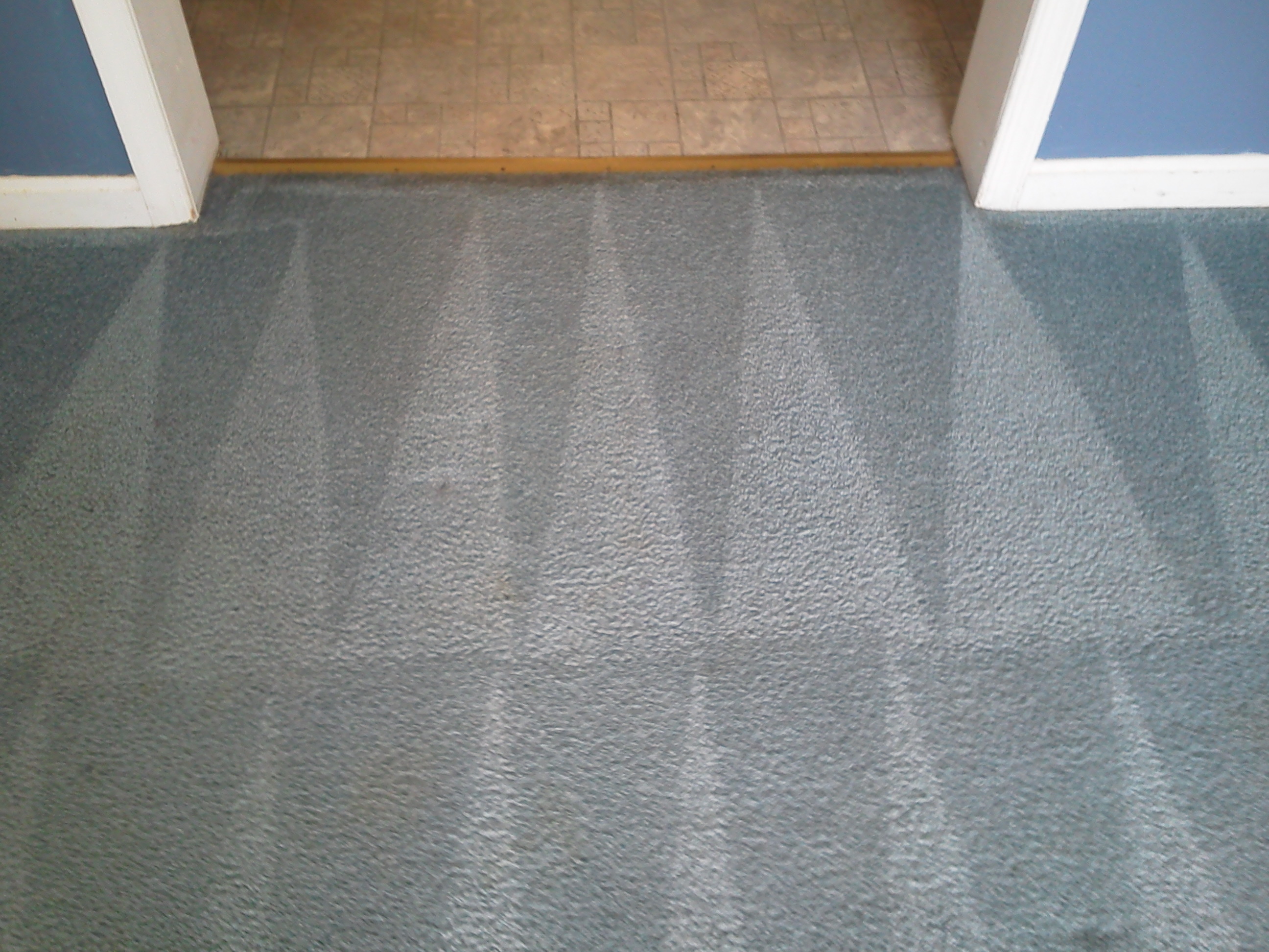 After-Carpet-Cleaning-Woodridge.jpg