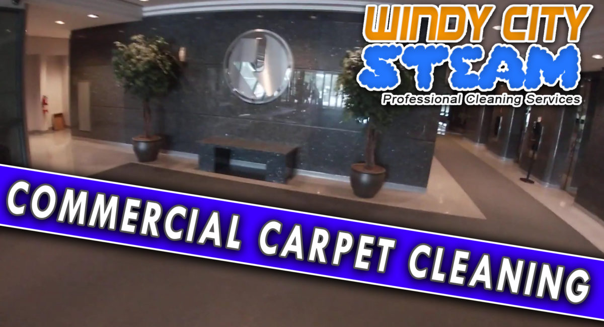 Carpet Cleaning Archives Windy City Steam Carpet Cleaners