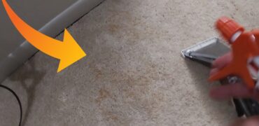 best carpet cleaner for pet owners